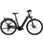 QUADRIGA CX10