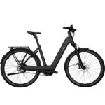 QUADRIGA PX5 RT