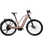 TOWN & COUNTRY CX11 DI2 – Bild 2