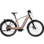 TOWN & COUNTRY CX11 DI2 – Bild 3