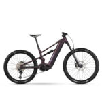 RAYMON RAVOR  COMP