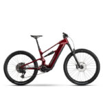 RAYMON RAVOR  PRO