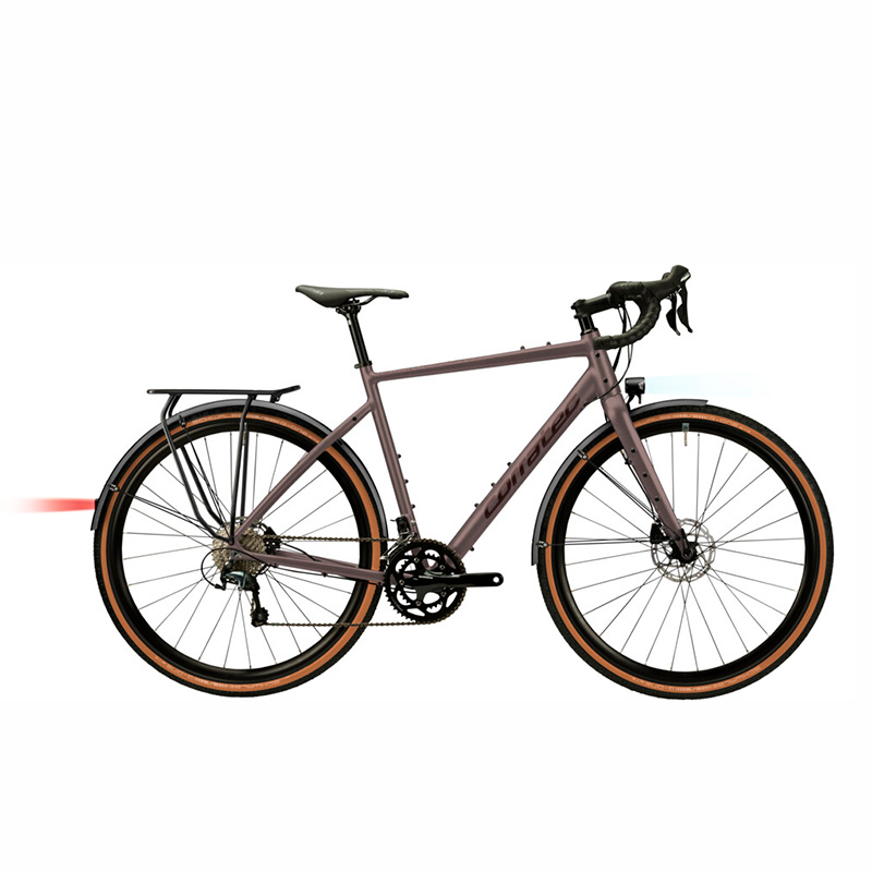 Allroad Travel EQ 1 Corratec Allroad Travel EQ Bronze, Dark Bronze – Bild 1