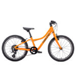 NALOO Chameleon Mk2 20″