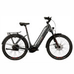 Corratec Life CX8 Belt Dark Grey, Silver, Red