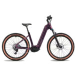 CONWAY Cairon S 2.0 Hardtail aubergine matt